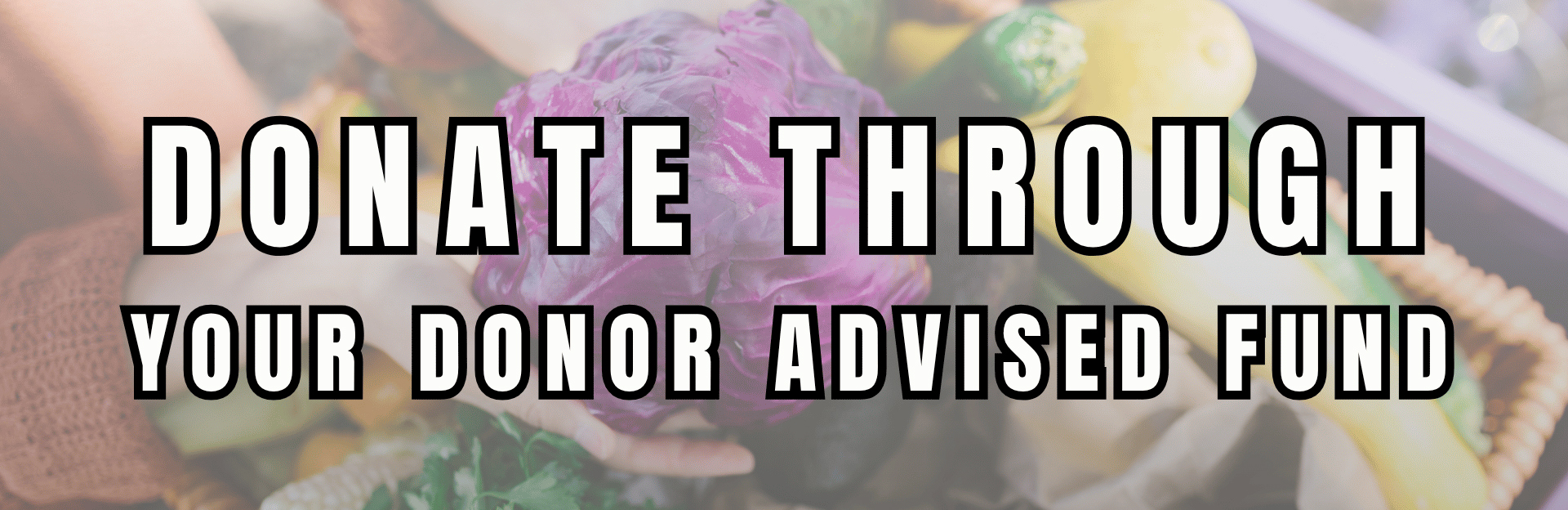 Donate through your Donor Advised Fund (Link below)