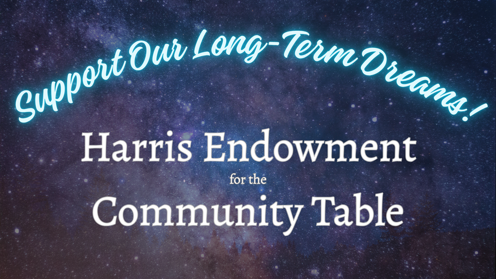 Background a field os starts on black. Blue, arched letters reading "Support Our Long-Term Dreams!" then underneath in White Letters "Harris Endowment for the Community Table."